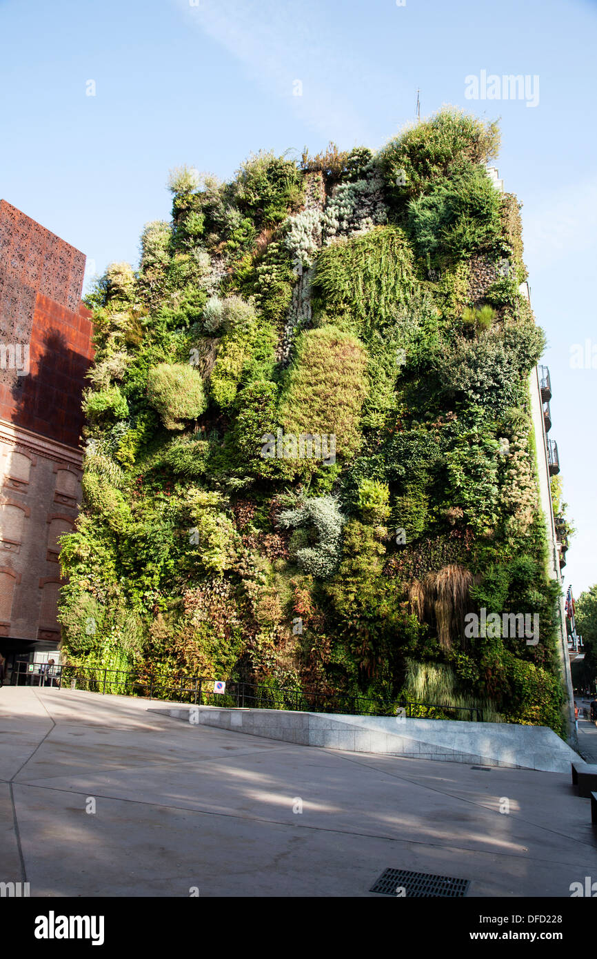 "Grüne Wand" vom französischen Botaniker Patrick Blanc, neben dem CaixaForum Museum und Kulturzentrum, Madrid Stockfoto