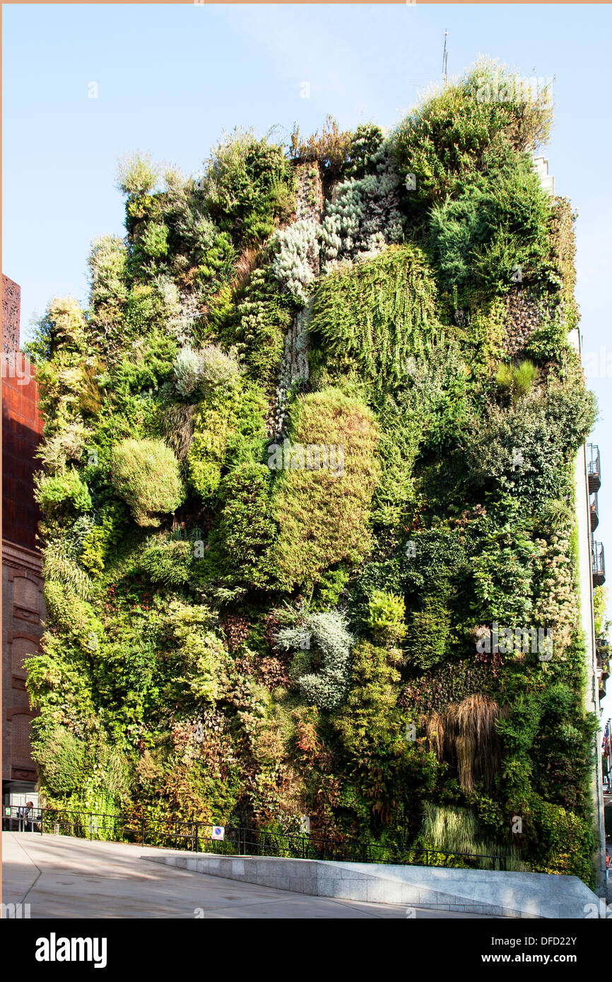 "Grüne Wand" vom französischen Botaniker Patrick Blanc, neben dem CaixaForum Museum und Kulturzentrum, Madrid Stockfoto
