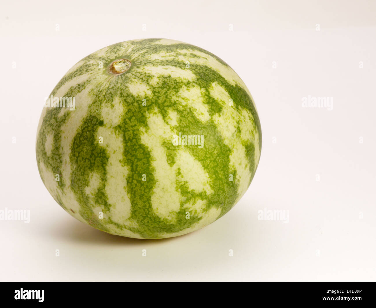 Eine Runde Wassermelone sitzt auf einem weißen Hintergrund. Stockfoto