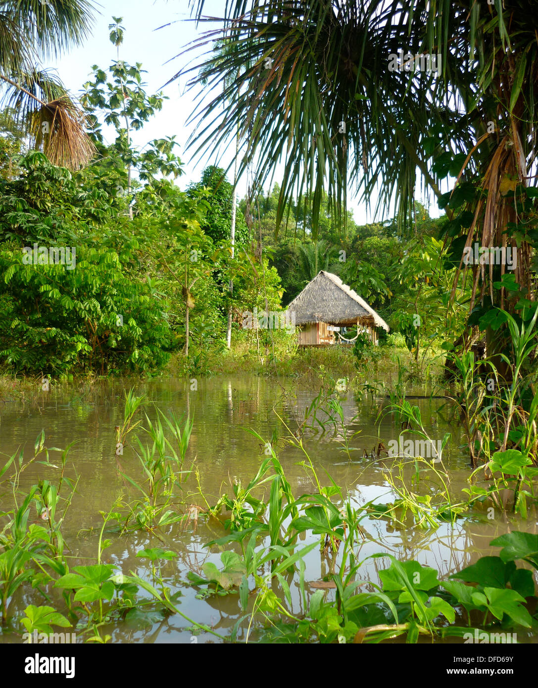 Ein Dschungel-Lodge im Amazonas-Regenwald in der Nähe von Iquitos, Peru Stockfoto