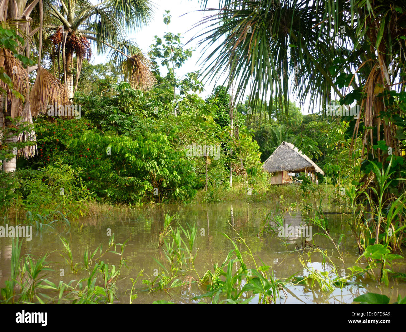 Ein Dschungel-Lodge im Amazonas-Regenwald in der Nähe von Iquitos, Peru Stockfoto