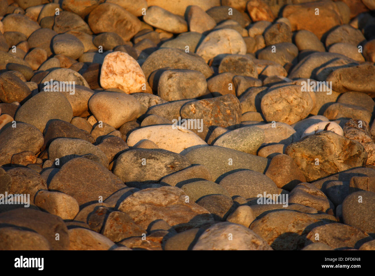 trockenen Steinen am Strand Stockfoto
