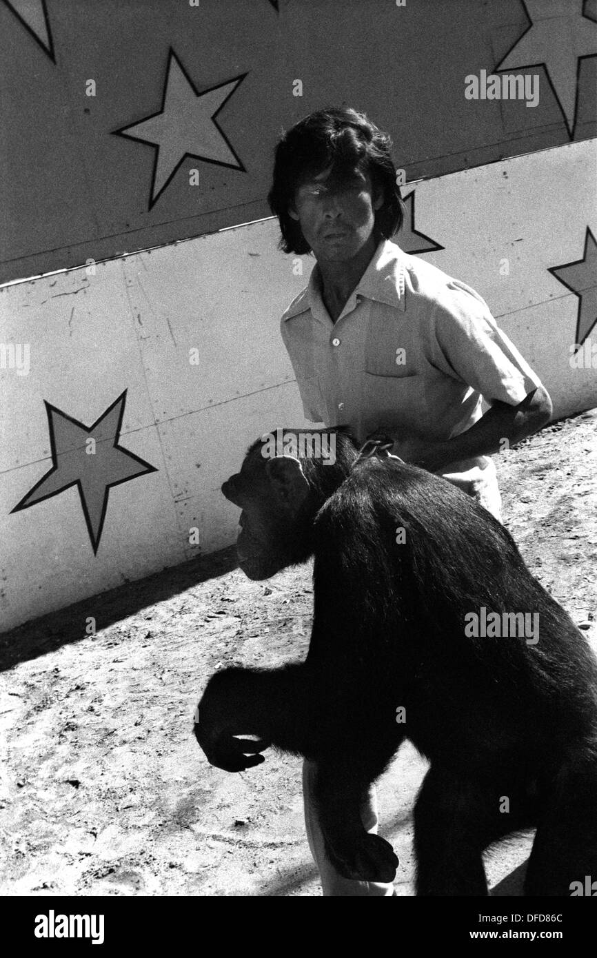 Schimpansen gefangen in einem mexikanischen Zirkus der 1970er Jahre. Schimpansen und Handler wild Tier in der Stadt gezeigt, um zu werben und für den Zirkus. Mazatlan Mexiko Mexikanischer Bundesstaat Sinaloa 1973 HOMER SYKES Stockfoto