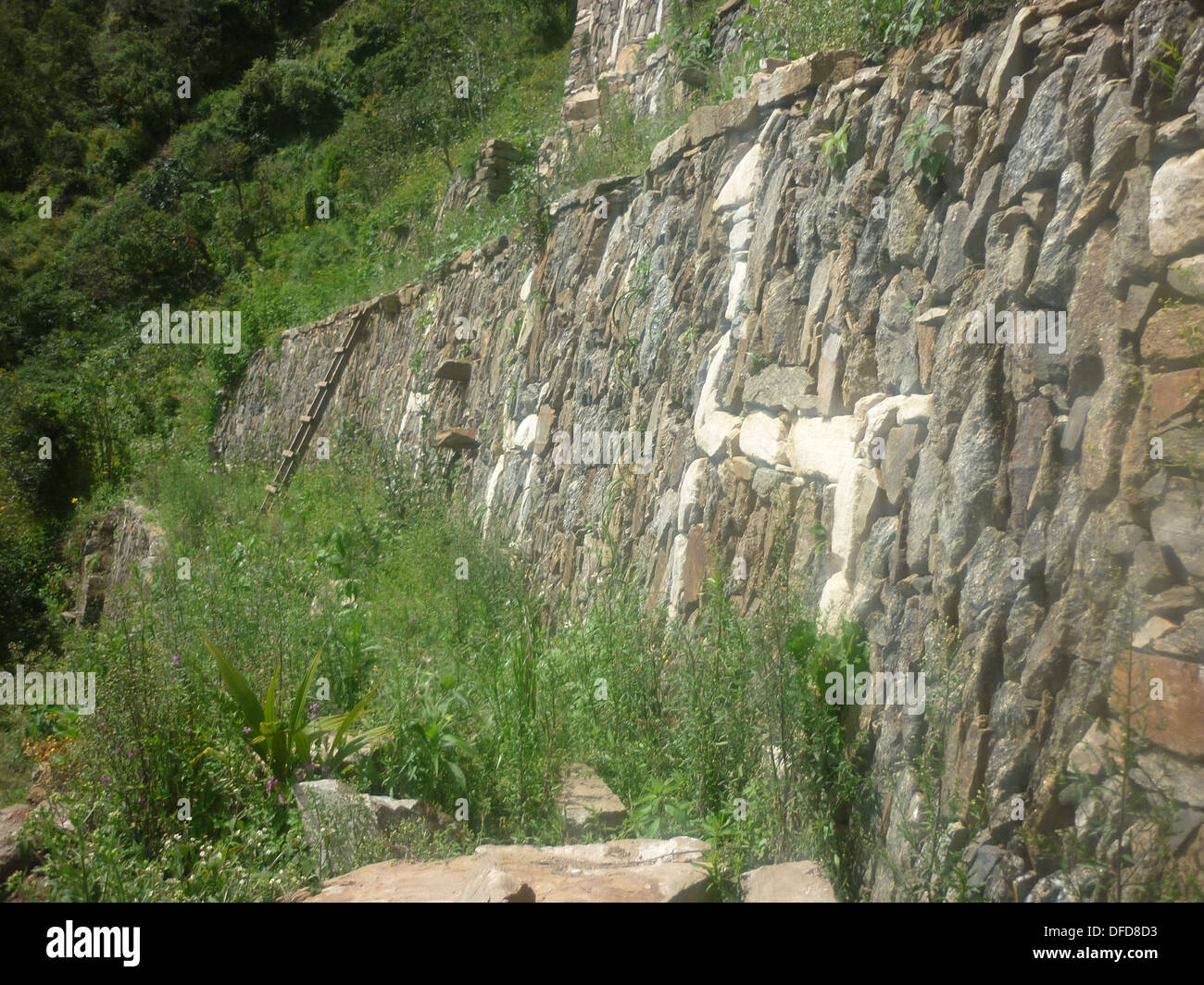 Stein Terrassen mit Lama detailliert auf die Inka-Stätte von Choquequirao, im Tal Apurimac, Cuzco, Peru Stockfoto