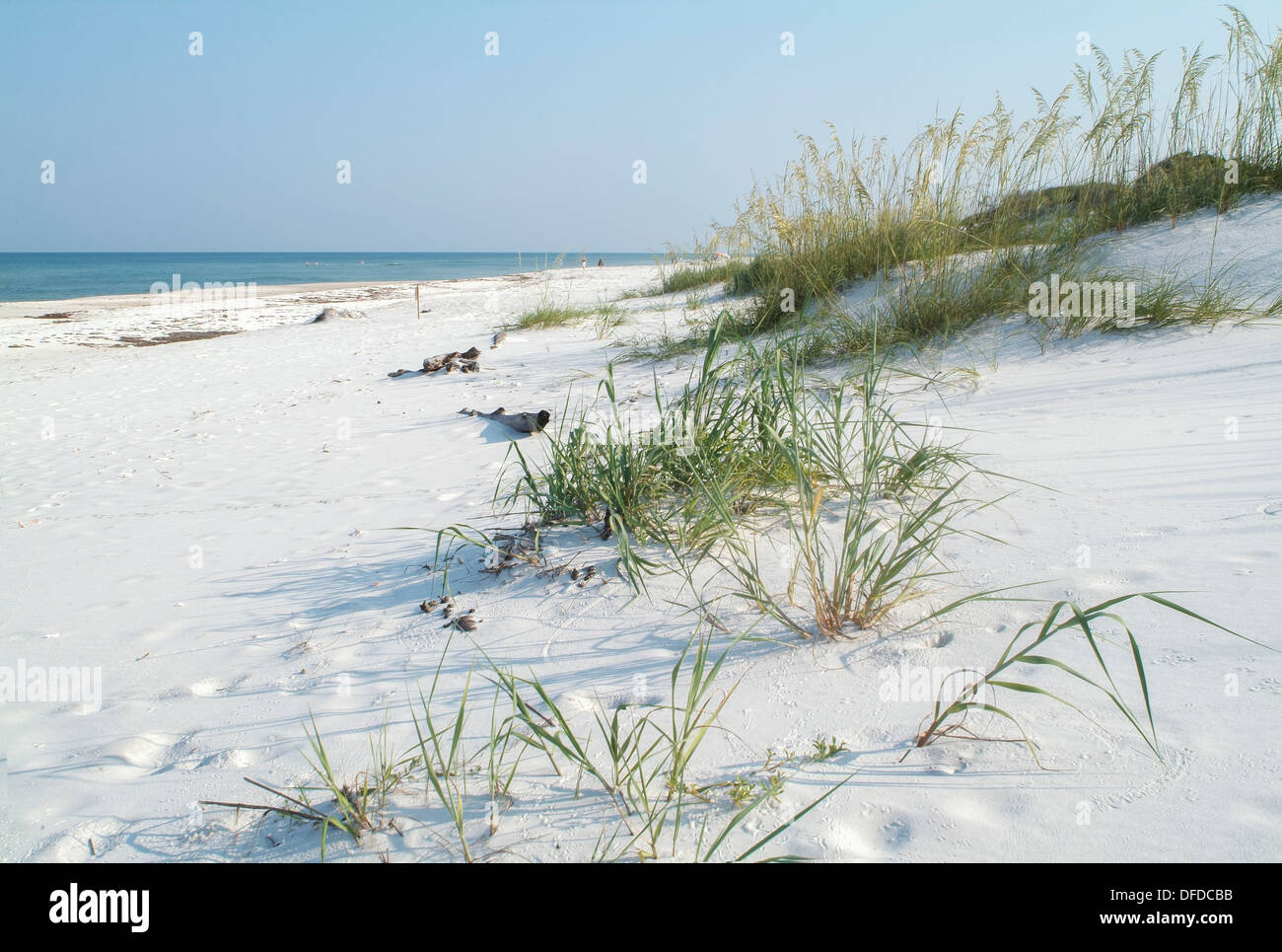 St. Joseph Peninsula State Park, FL. Stockfoto