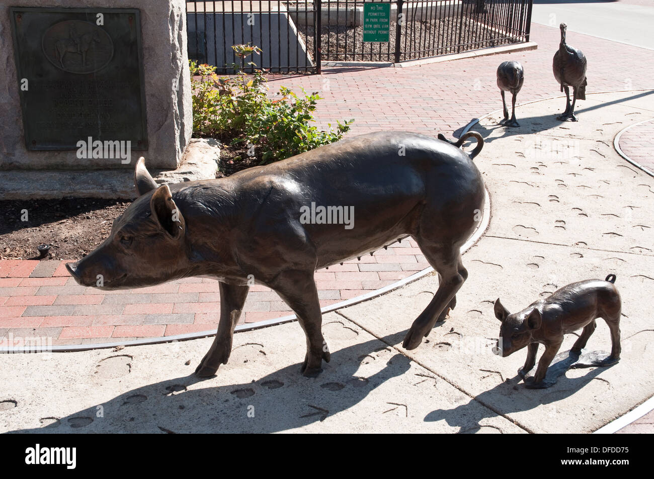 Robert Gursky Bronze Schwein Skulpturen in Pack-Platz, Teil der städtischen Strecke Rundgang durch Kunst im öffentlichen Raum in Asheville, NC, USA. Stockfoto