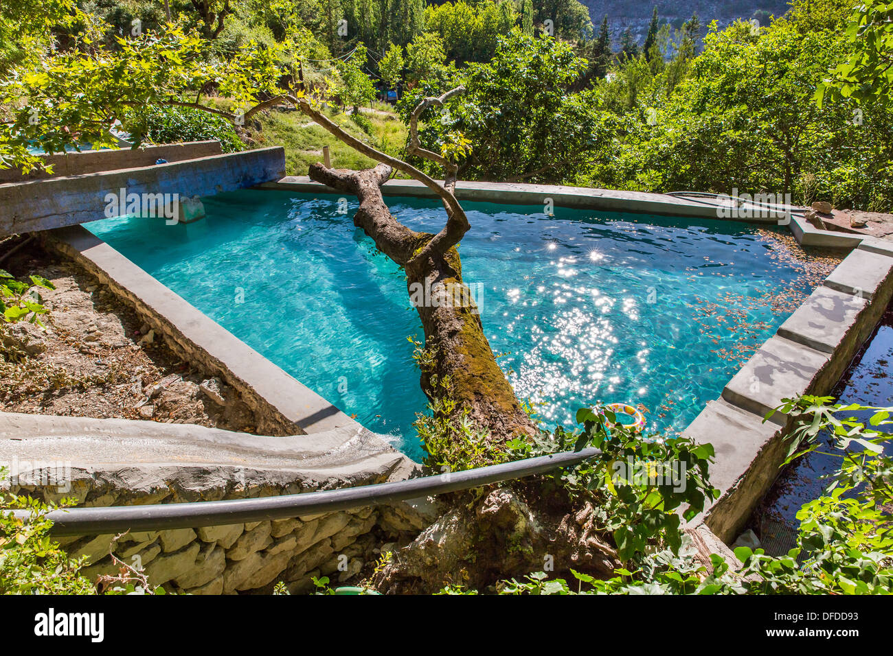 Großer Baum im Schwimmbad in kleinen kretischen Dorf in Kreta, Griechenland finden Sie weitere Bilder aus Kreta Stockfoto