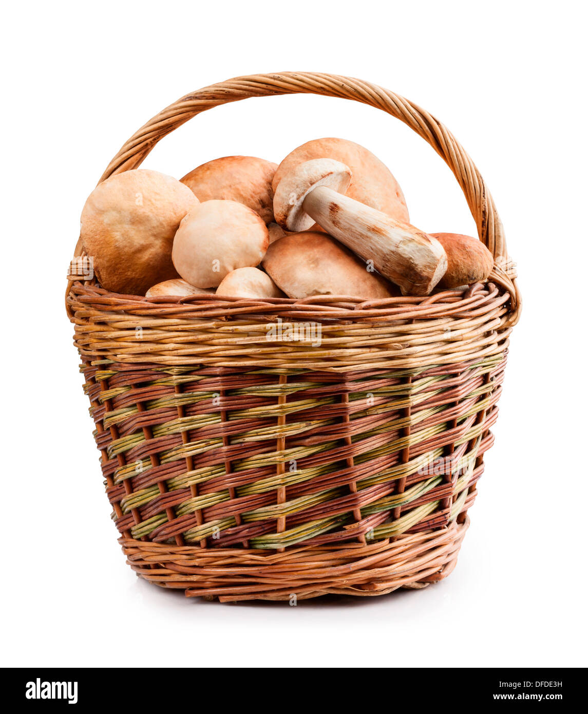 Die rohen Boletus Edulis in einem Korb Stockfoto