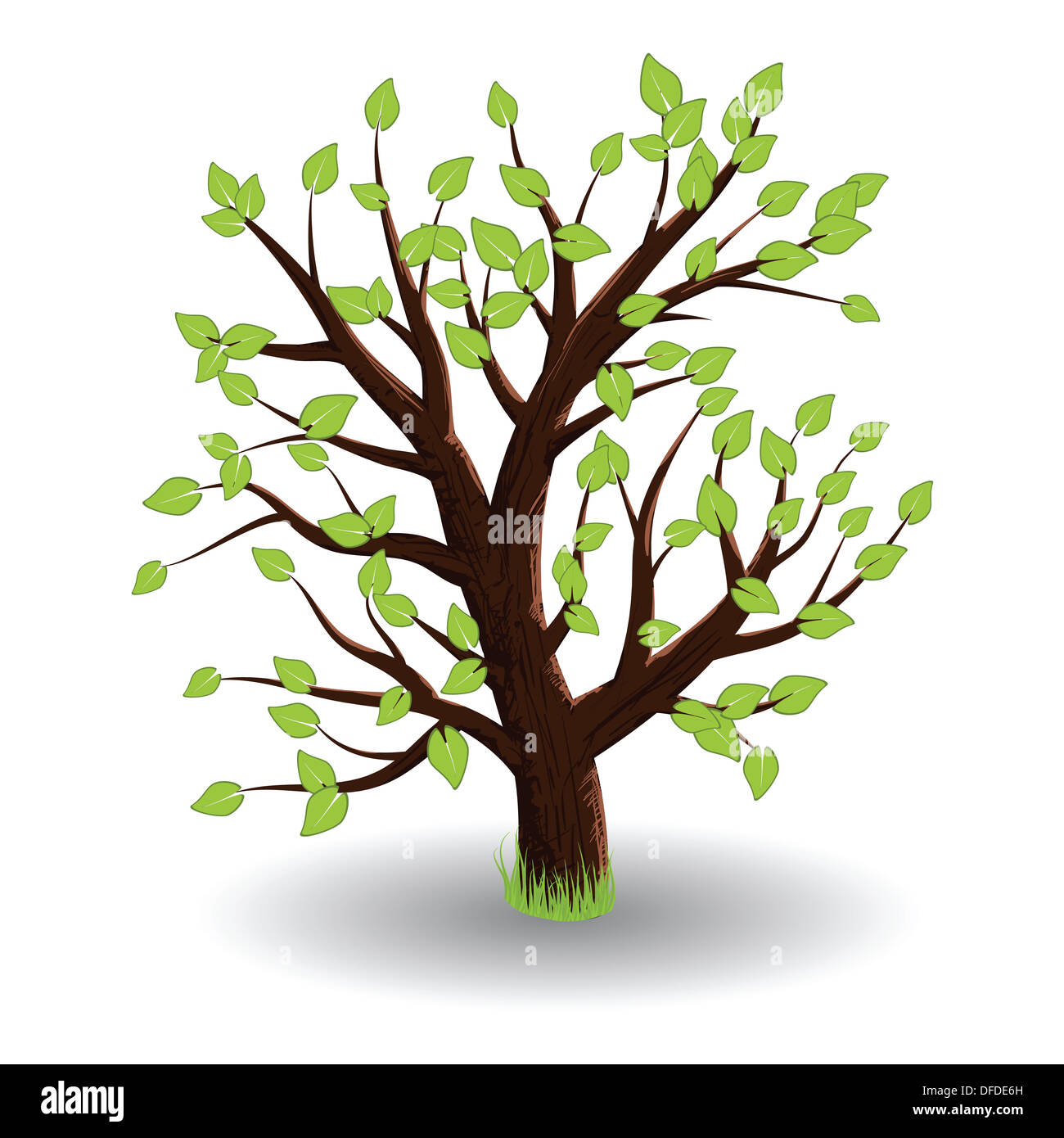 Grüner Baum auf weißem Hintergrund Stockfoto