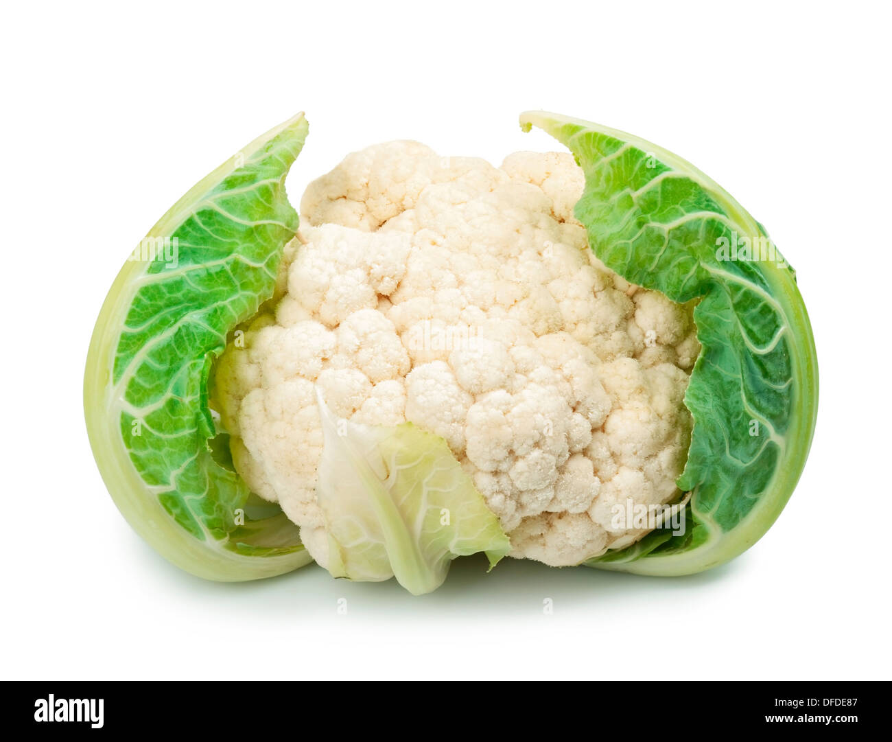 Blumenkohl, isoliert auf weißem Hintergrund Stockfoto
