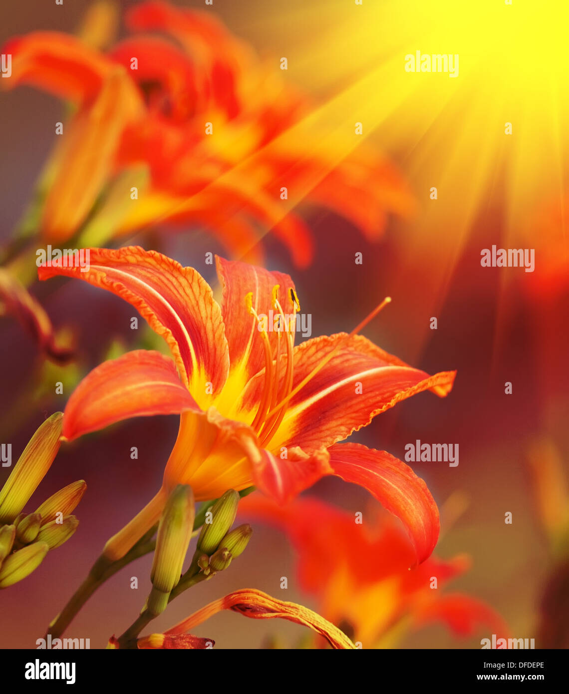 Kunstblumen auf rotem Grund Stockfoto