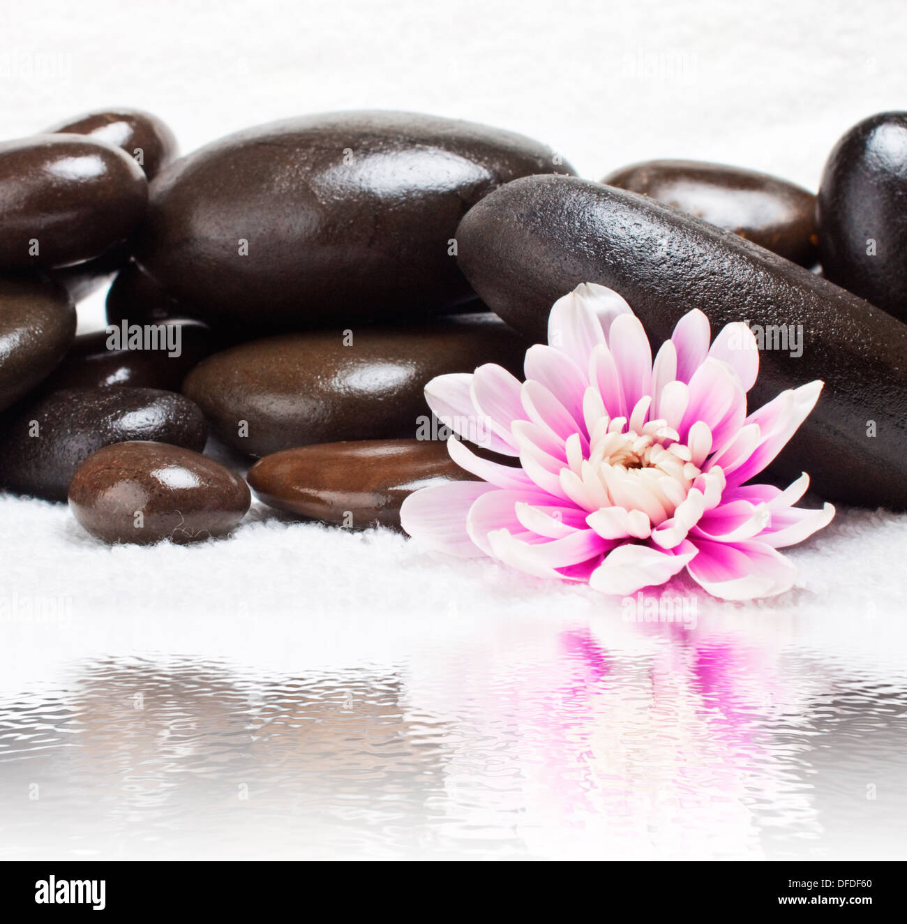 Spa-Steinen mit Blüten mit Spiegelung im Wasser Stockfoto