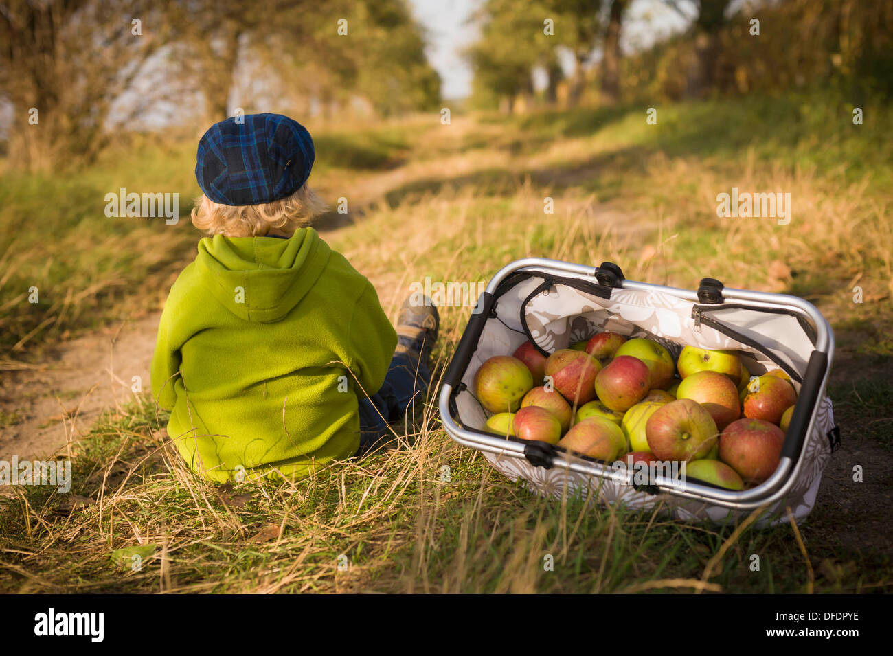 Deutschland, Sachsen, junge sitzt mit Korb voller Äpfel Stockfoto