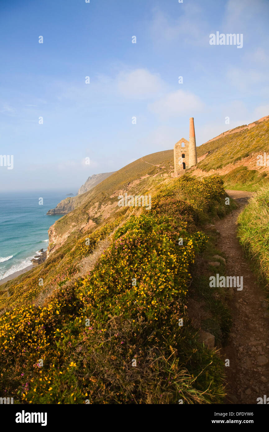 Wheal Coates Tin mine St Agnes Head Cornwall England Ruinen Stockfoto