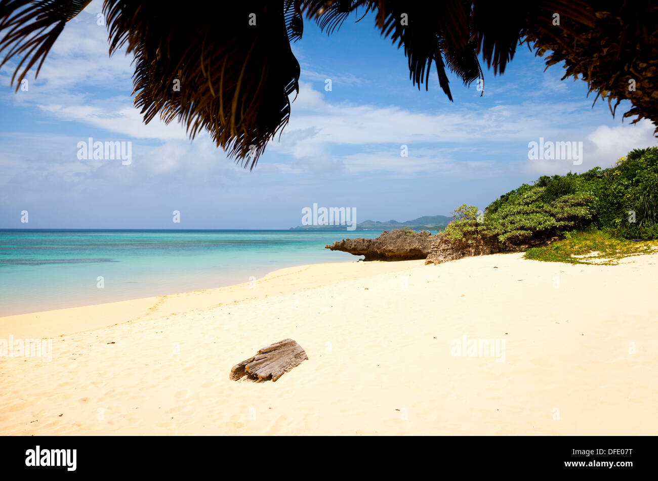 Palmen gesäumten, feinsandigen Strand mit einem großen Stück Treibholz und klare türkisfarbene Wasser. Stockfoto