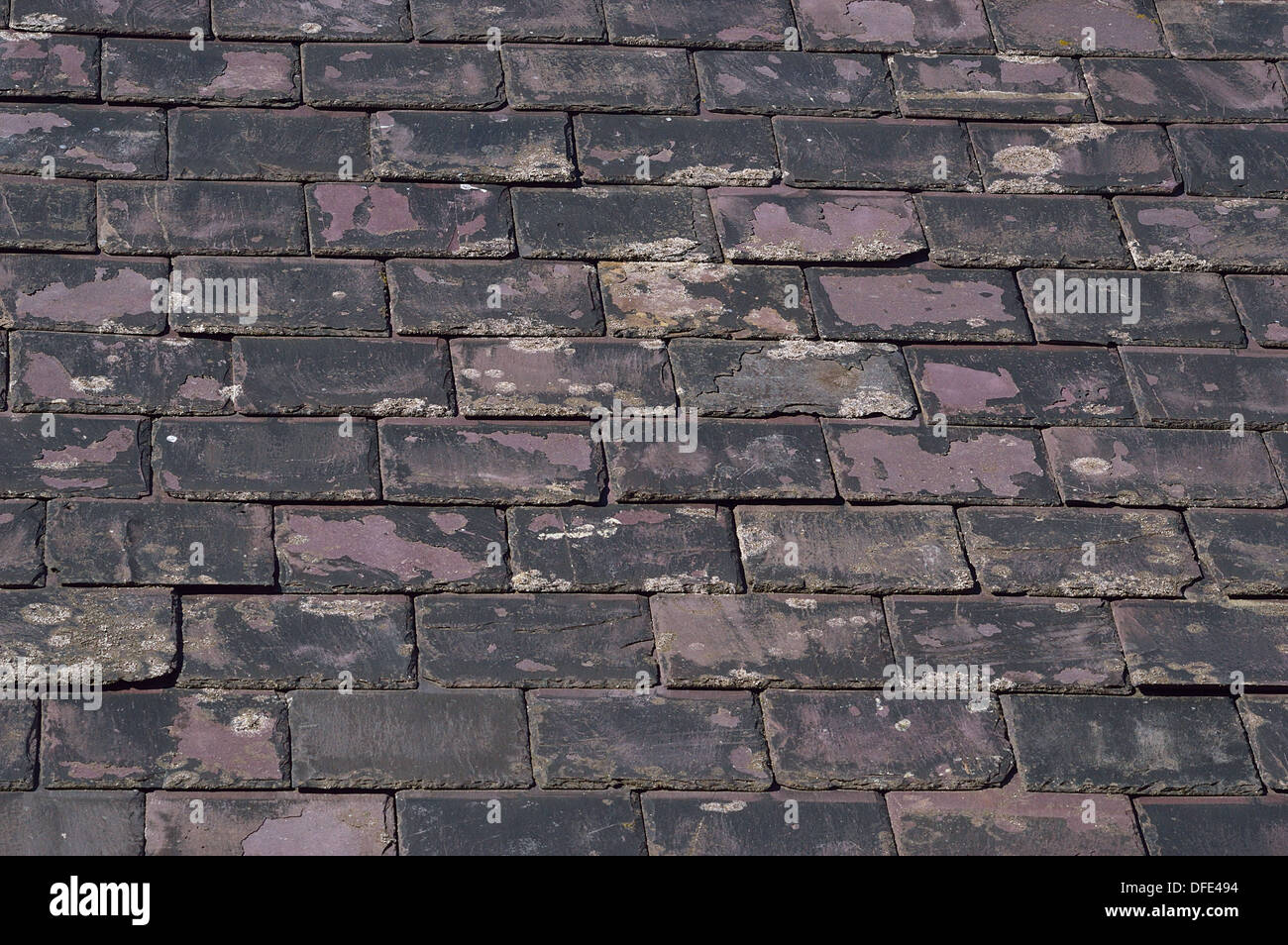 Schieferplatten auf ein altes Dach im "alten" Staithes Stockfoto