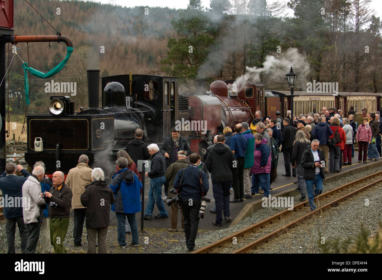 Welsh Highland Railway, eine Schmalspur-Dampfzug, der von Portmadog nach Caernarfon, Wales, Großbritannien läuft. Stockfoto