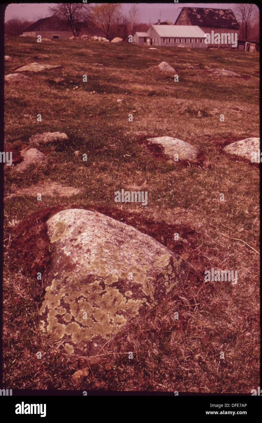 Eine Farm in West Greenwich weist Steinausbrüche auf, ein charakteristisches Element der Bodenzusammensetzung in New England, das das felsige Gelände und die landwirtschaftliche Praxis der Region widerspiegelt. Stockfoto