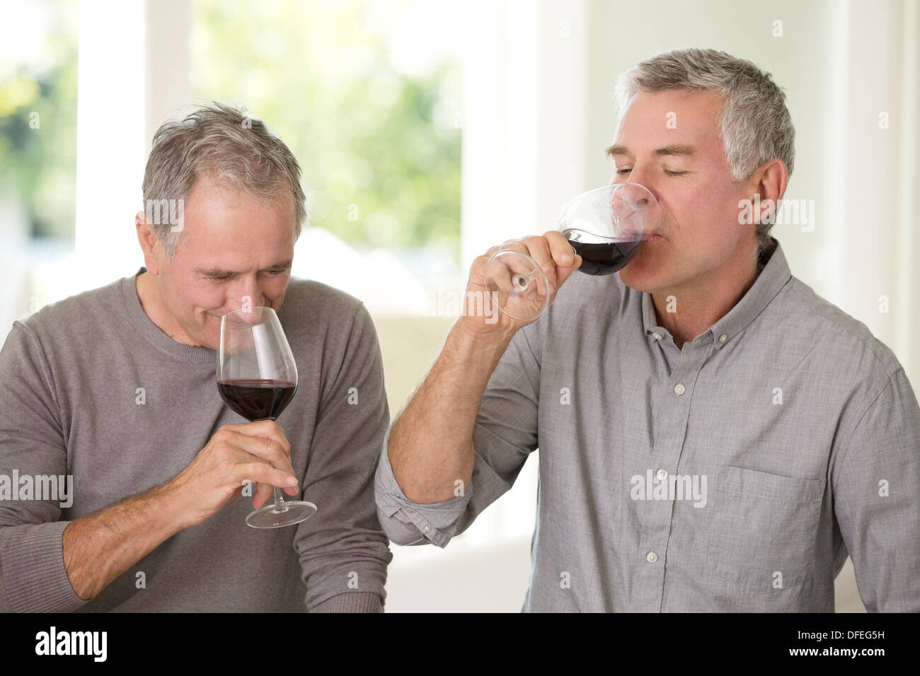 Senioren Herren zusammen Wein trinken Stockfoto