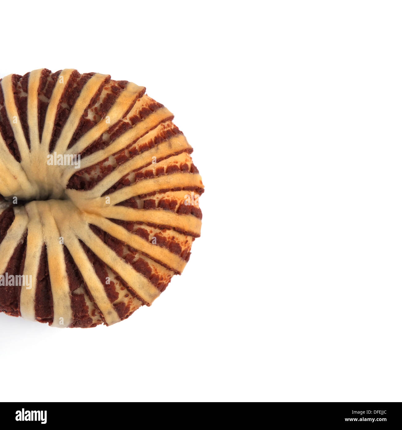 Appetitlich Taro Brot isoliert auf weißem Hintergrund Stockfoto