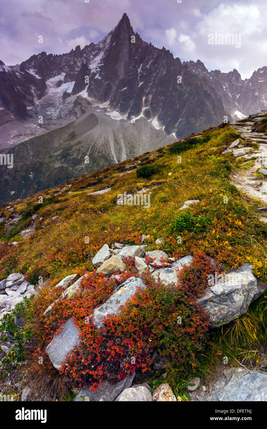 Aiguille du Dru mit Herbst Farben, Chamonix-Mont-Blanc, Alpen, Berggipfel, Felsenspitze, Turmspitze, Herbstfarben Stockfoto