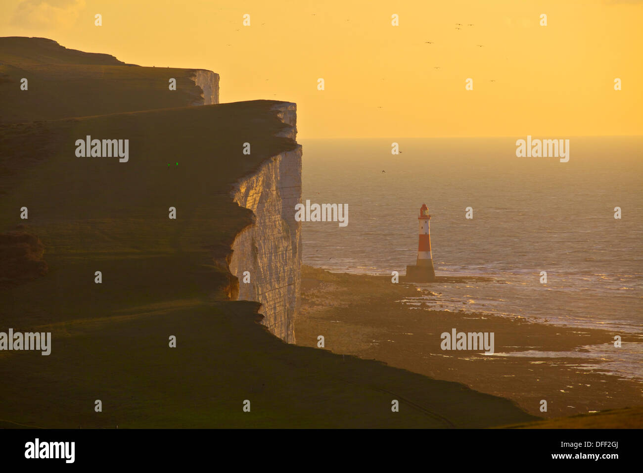 Beachy Head und Beachy Head Leuchtturm bei Sonnenuntergang, East Sussex, England, UK, Europa. Stockfoto