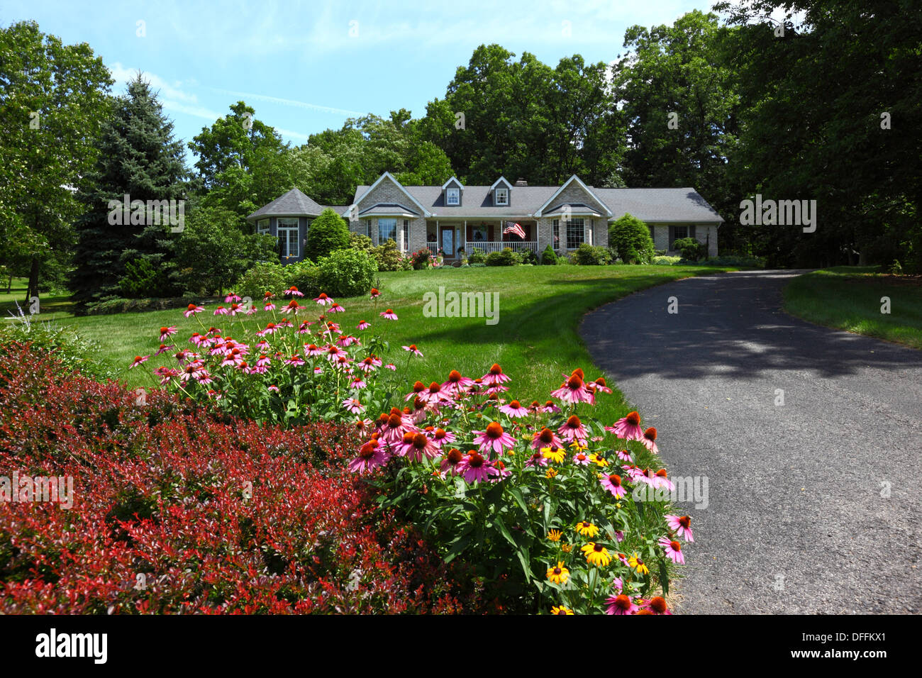 Lila Coneflower (Echinacea purpurea) und andere Sommerblumen vor dem Garten des Bungalows in einem eleganten Wohnvorort, Gettysburg, Pennsylvania, USA Stockfoto