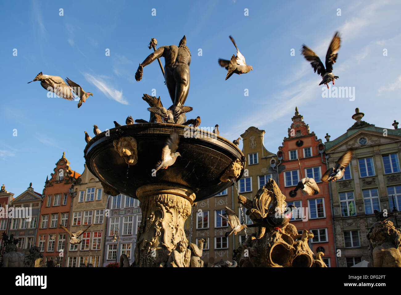 Neptun-Brunnen mit Tauben fliegen um in der Innenstadt von Danzig, Polen. Stockfoto