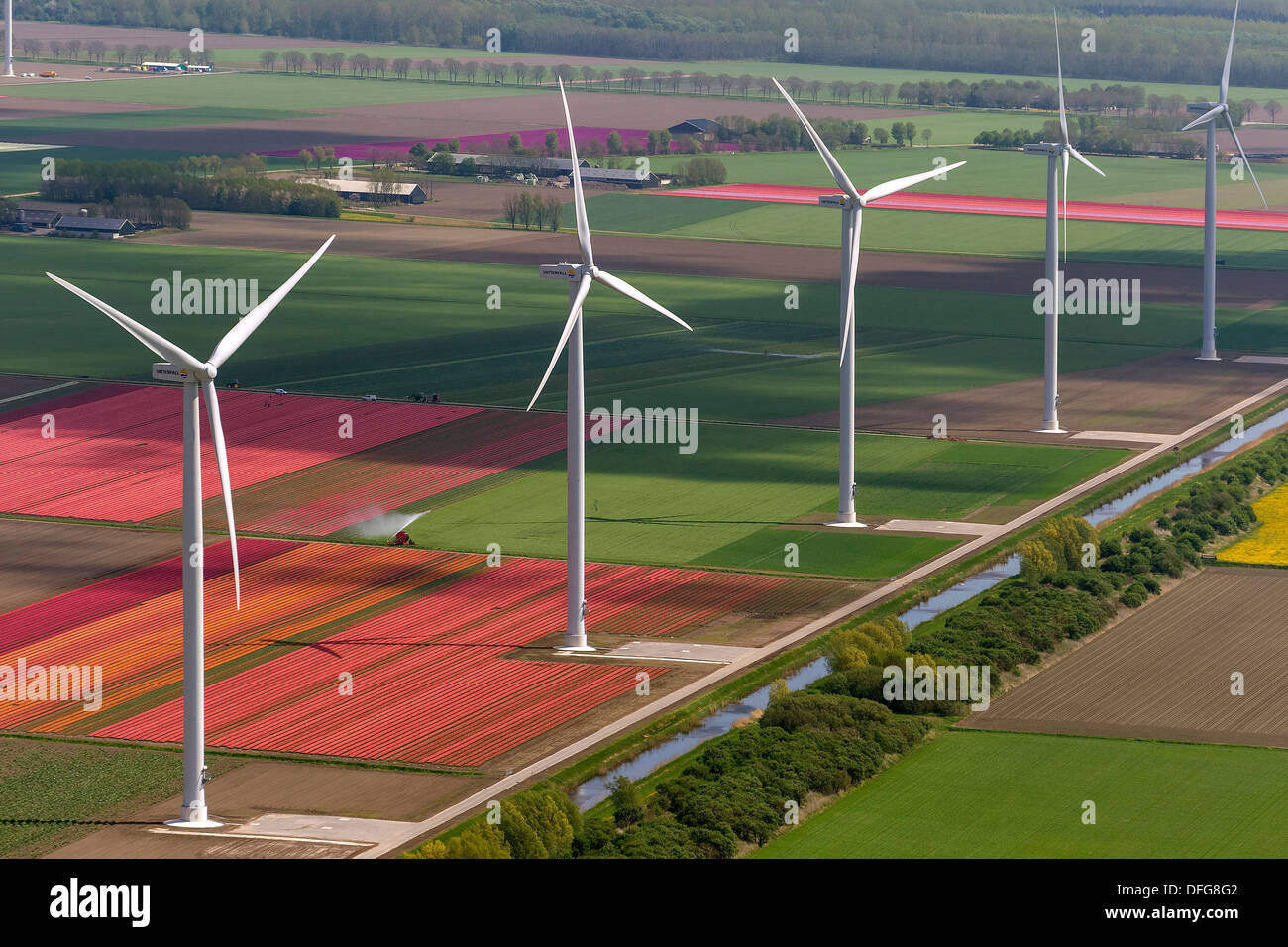 Wind-Turbinen, Tulpenfelder, Luftaufnahme, Zeewolde, Flevoland, Niederlande Stockfoto