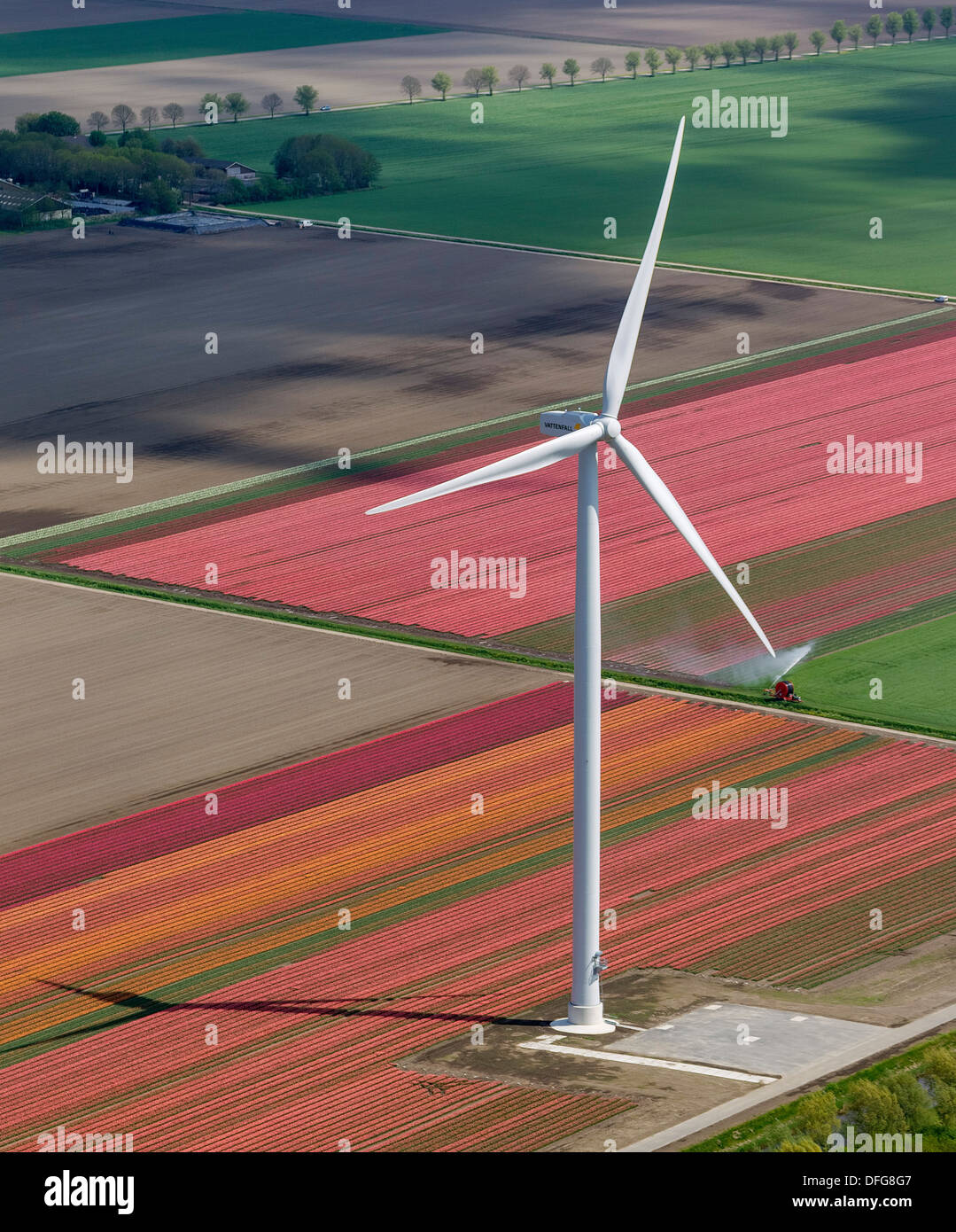 Wind-Turbinen, Tulpenfelder, Luftaufnahme, Zeewolde, Flevoland, Niederlande Stockfoto