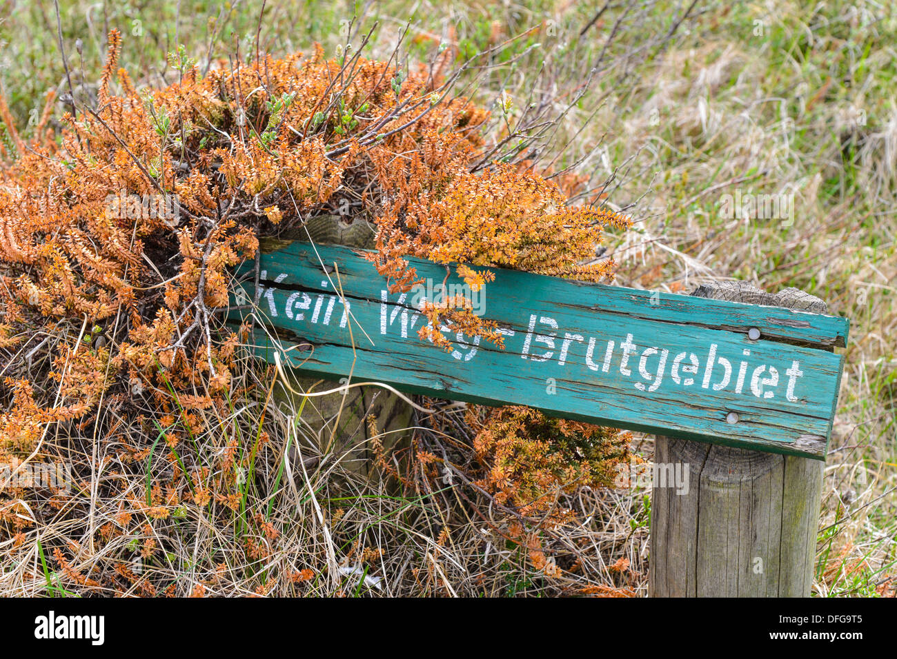 Zeichen, "Kein Weg Brutgebiet" Deutsch für "keineswegs - Verschachtelung Bereich" am Morsumer Cliff, Morsum, Sylt, Nordfriesischen Inseln Stockfoto