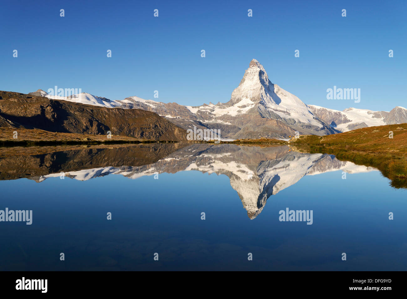Matterhorn spiegelt sich im See Stellisee, Walliser Alpen, Wallis, Schweiz Stockfoto