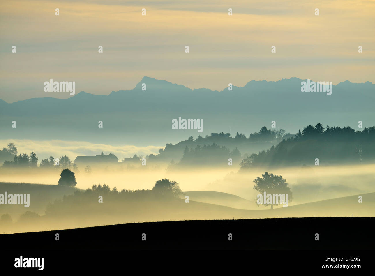 Herbstliche Nebel Atmosphäre im Schweizer Mittelland oder Mittelland, Hirzel, Kanton Zürich, Schweiz Stockfoto