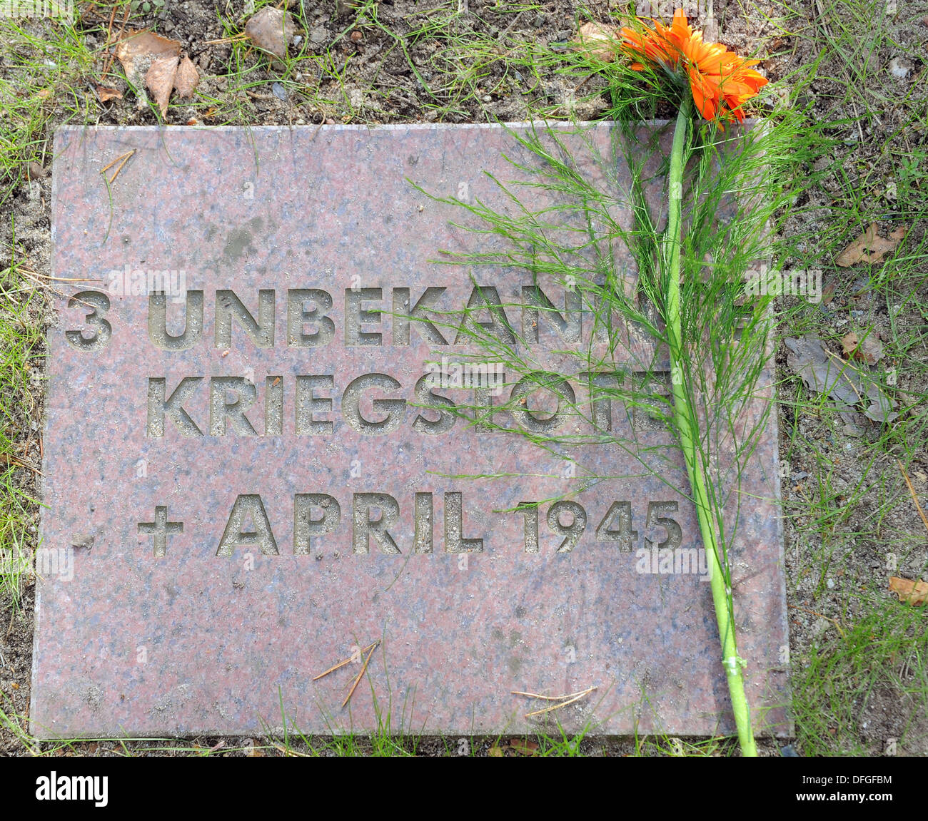 Halbe, Deutschland. 4. Oktober 2013. Eine Blume sitzt auf dem Grabstein für unbekannte deutsche Soldaten im zweiten Weltkrieg zu ihrer letzten Ruhestätte in Halbe, Deutschland, 4. Oktober 2013. 105 deutsche Soldaten wurden heute auf dem Waldfriedhof begraben. Foto: BERND SETTNIK/Dpa/Alamy Live News Stockfoto