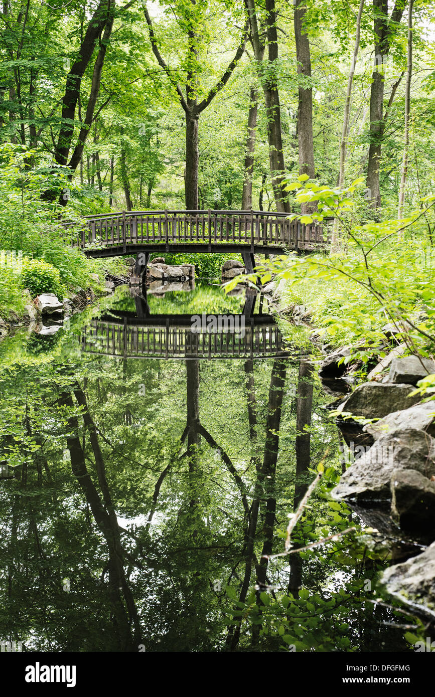 Naturlehrpfad mit Holzbrücke über den Creek im Wald. Stockholm, Schweden. Stockfoto