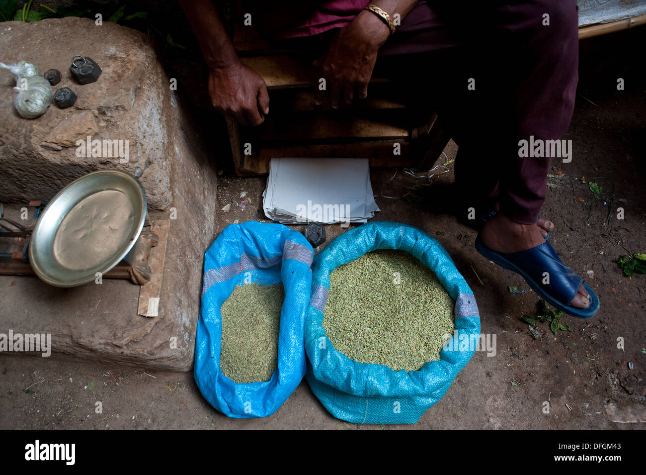 Mann, Verkauf von Kreuzkümmel in einer Straße (Marokko) Stockfoto