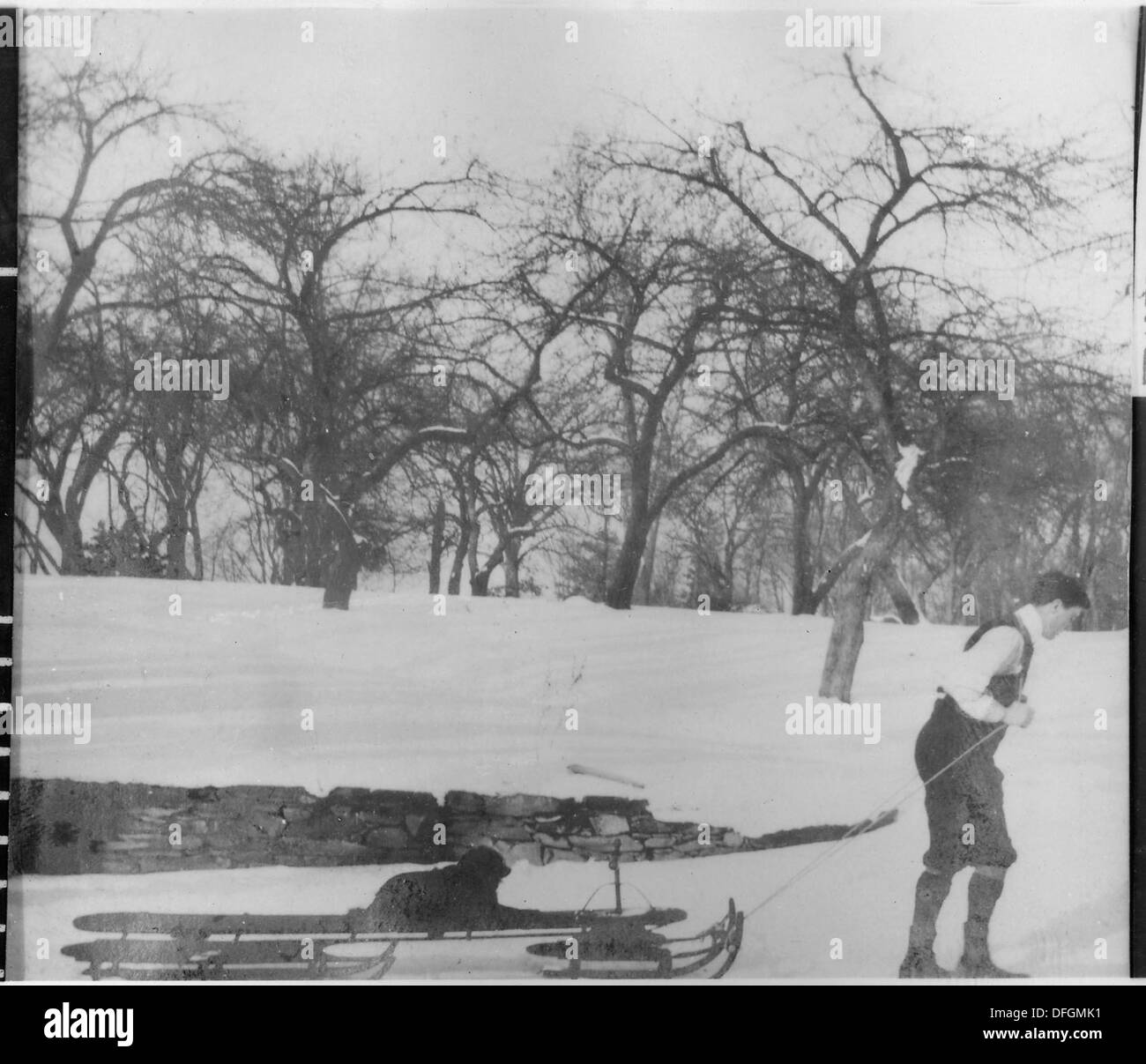 Präsident Franklin D. Roosevelt wird 1969 mit seinem Hund Tip in Hyde Park, New York, gesehen. Dieses Bild zeigt die intime Verbindung zwischen dem Präsidenten und seinem Haustier in einem persönlichen Moment. Stockfoto