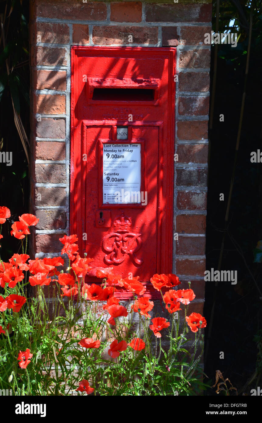 Roten Briefkasten und roten Mohnblumen Stockfoto