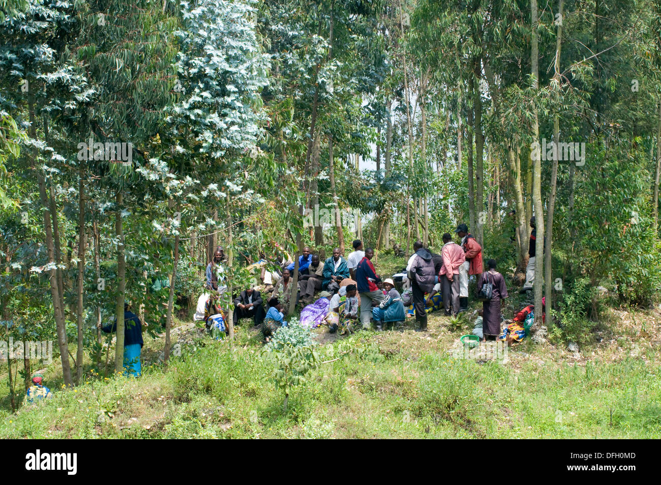 Ruandische Dorfbewohner treffen unter einer Waldlichtung Stockfoto