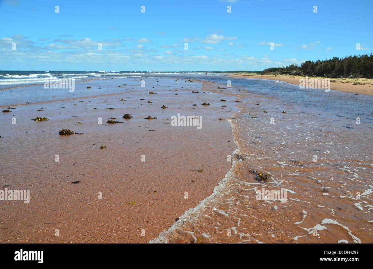 Wo das Meer trifft das Land am roten Sandstrand in Prince Edward Island, Canada Stockfoto