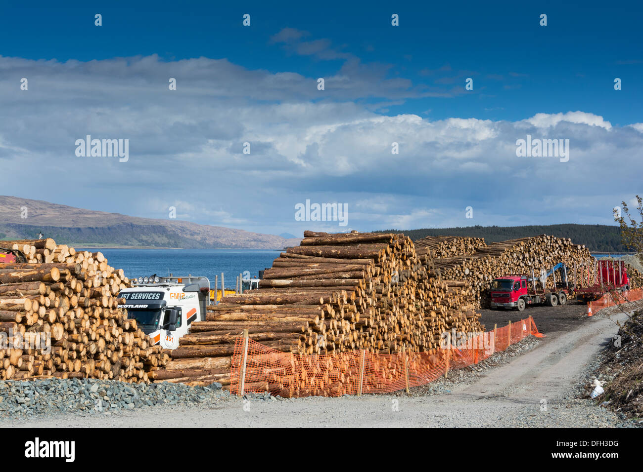 Nadelholz Nadelschnittholz bereit für den Transport zum Festland, Isle of Mull, Inneren Hebriden. Stockfoto