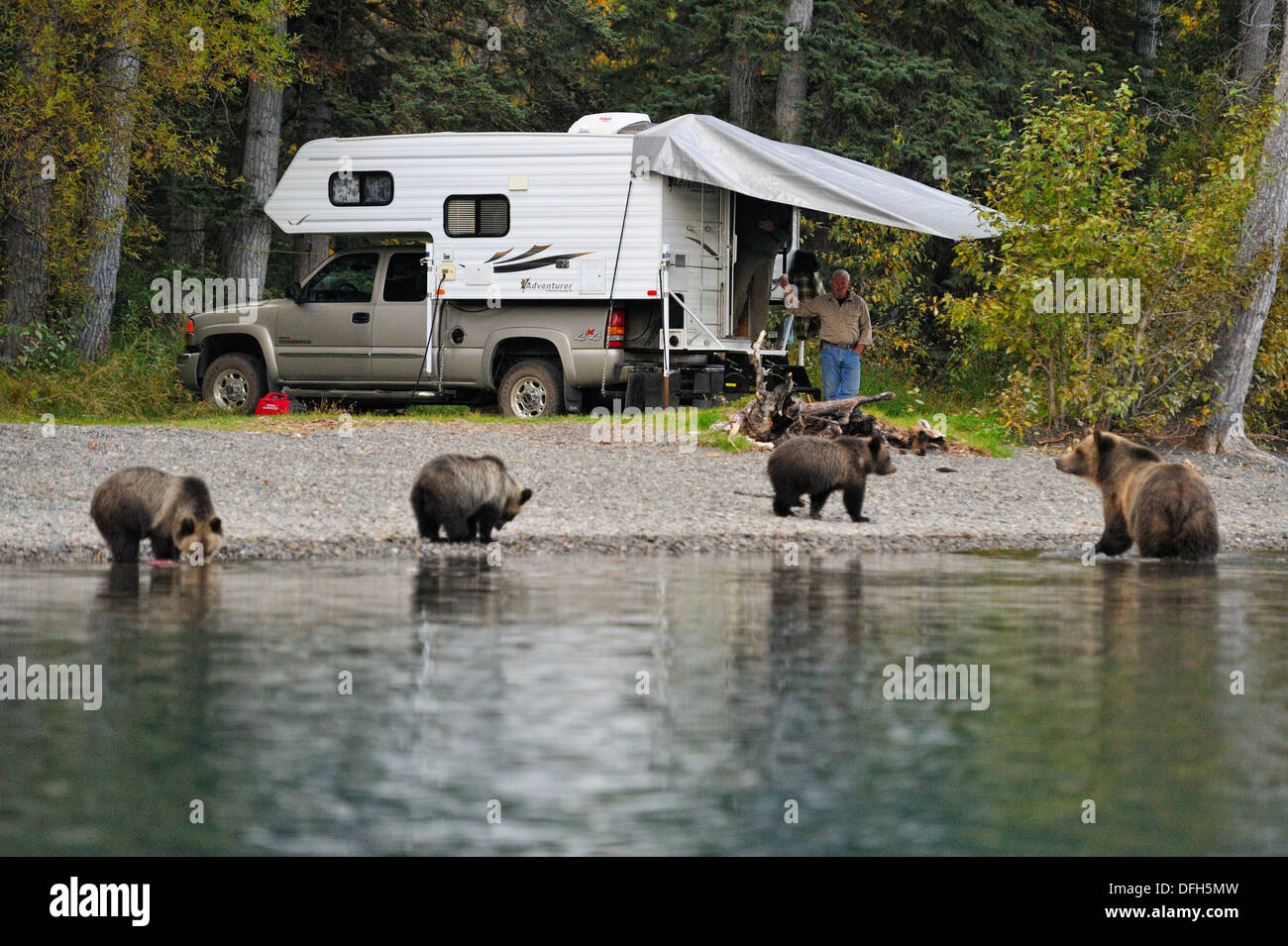 Grizzlybären, Ursus arctos, Familie in der Nähe von Provincial Park Camper, Chilcotin Wildnis, BC, Kanada Stockfoto