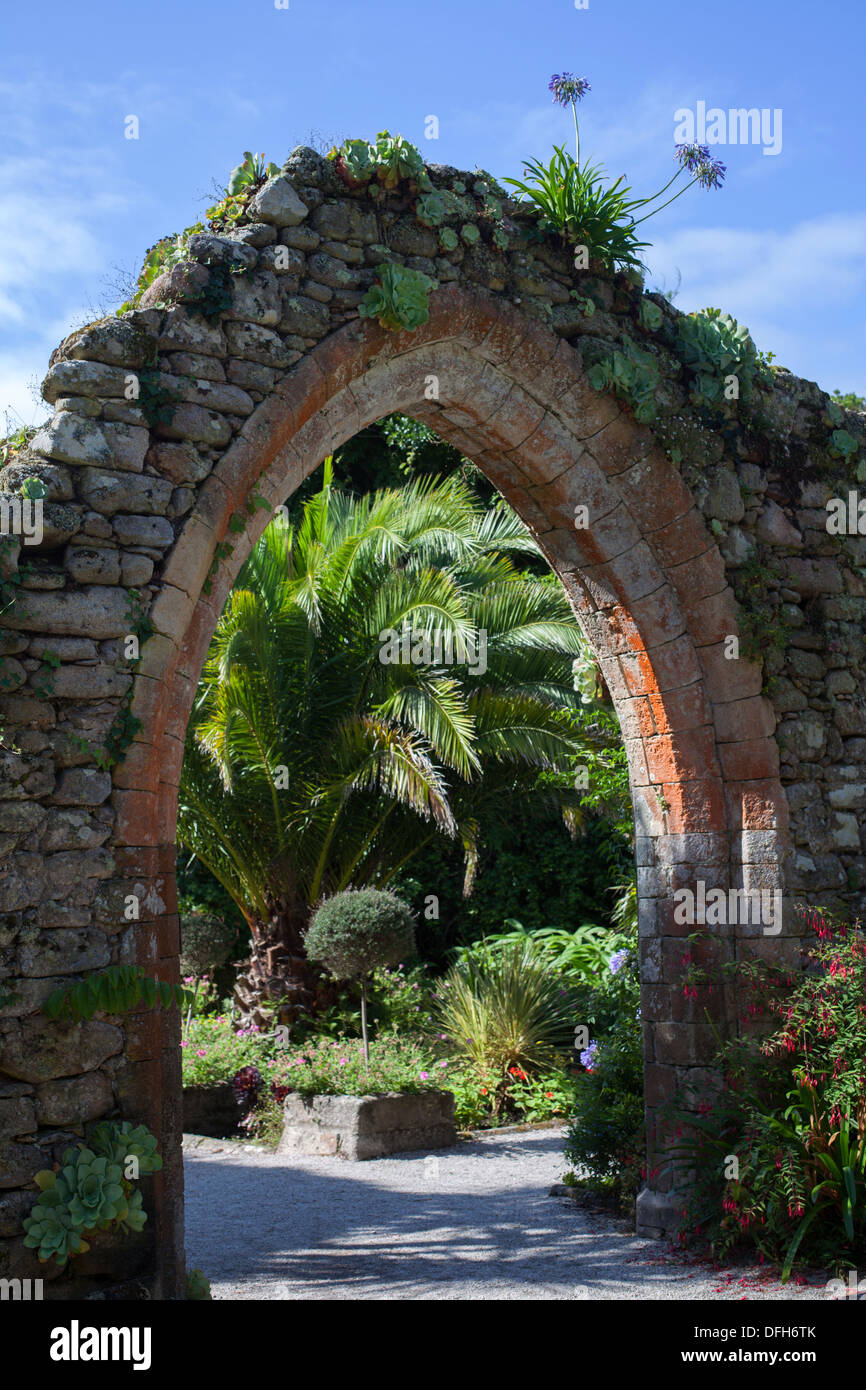 Tresco Klostergarten ruiniert Bogen, Isles of Scilly, Cornwall, UK Stockfoto Tresco Klostergarten ruiniert Bogen, Isles of Scilly, Cornwall, UK Stockfoto