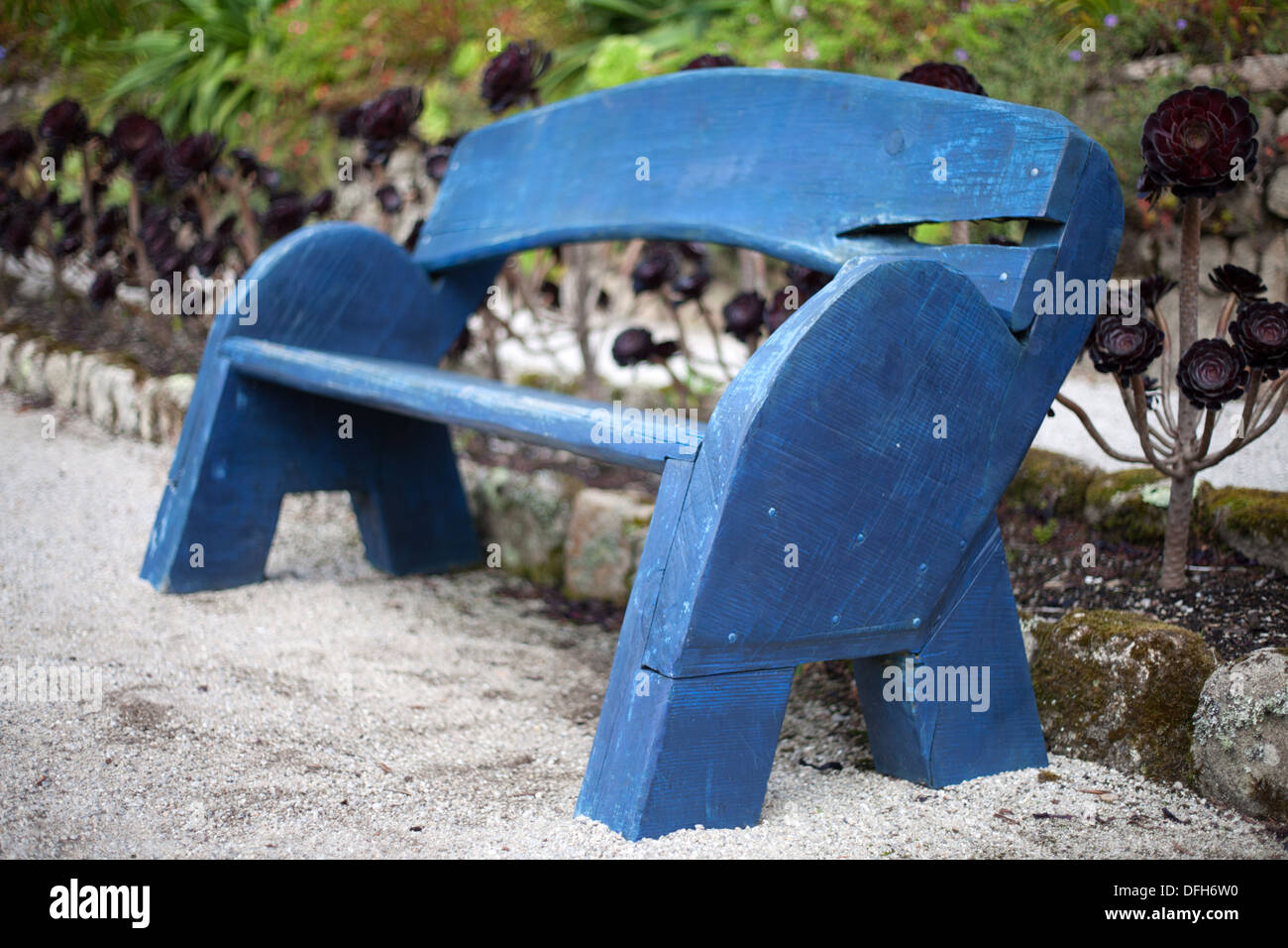 Blau lackierten Bank Tresco Abbey Gardens, Isles of Scilly, Cornwall, UK Stockfoto