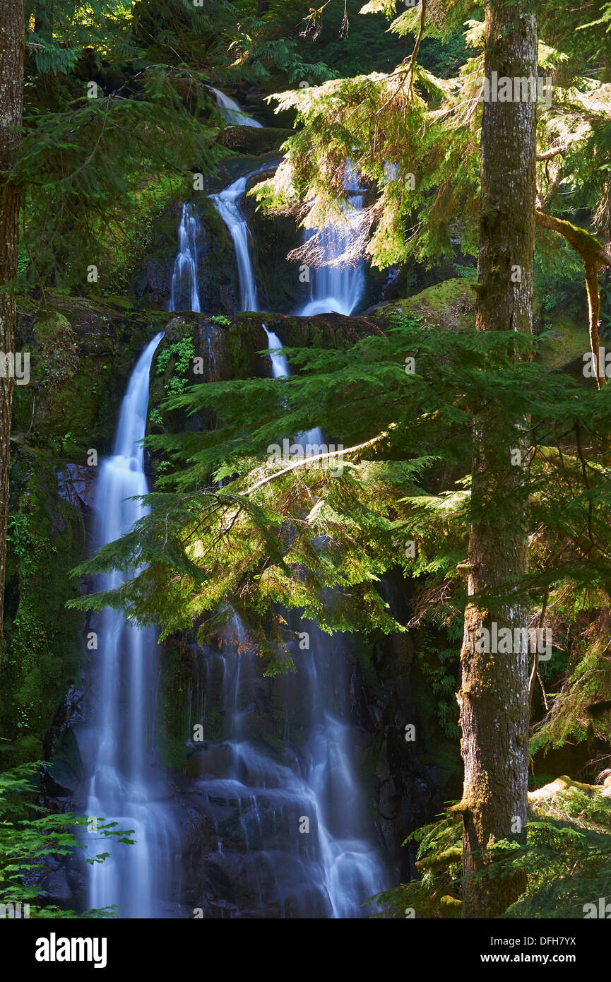 Oberen Kentucky fällt, Oregon Coast Range, Siuslaw National Forest, Oregon. Stockfoto