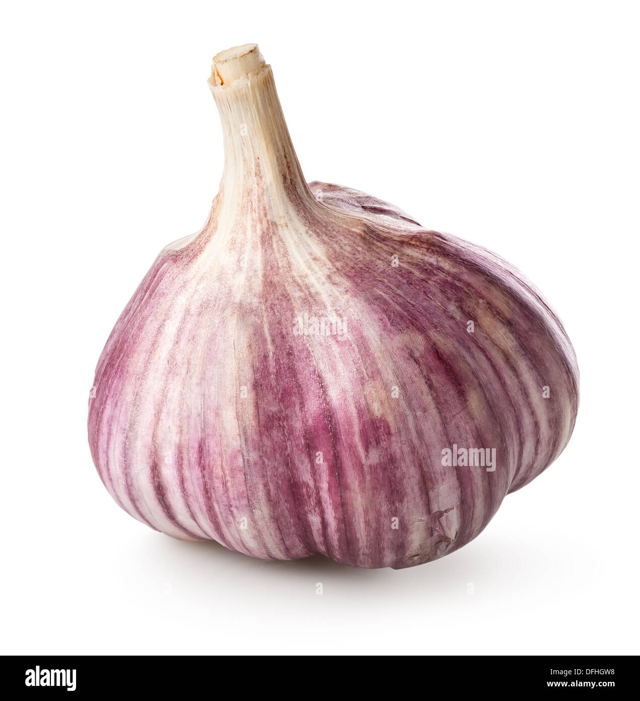 Violette Knoblauch isoliert auf weißem Hintergrund Stockfoto