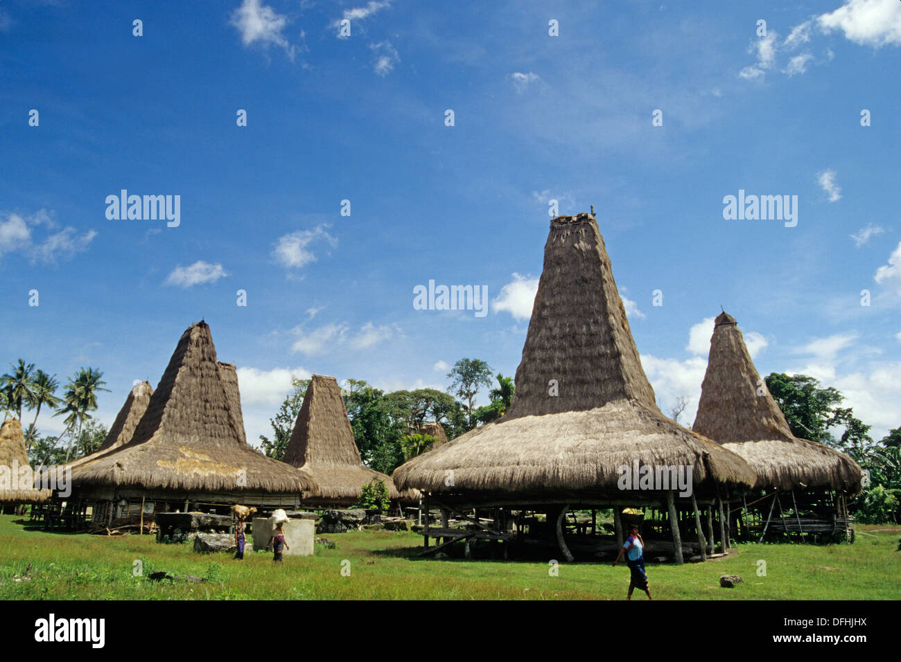 traditionelle Sumbaneese Häuser, Insel Sumba, kleinen SundaInseln, Republik Indonesien