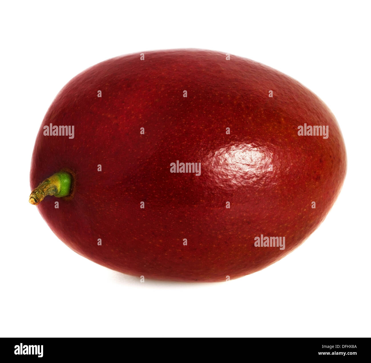 Mango-Frucht isoliert auf weißem Hintergrund Stockfoto