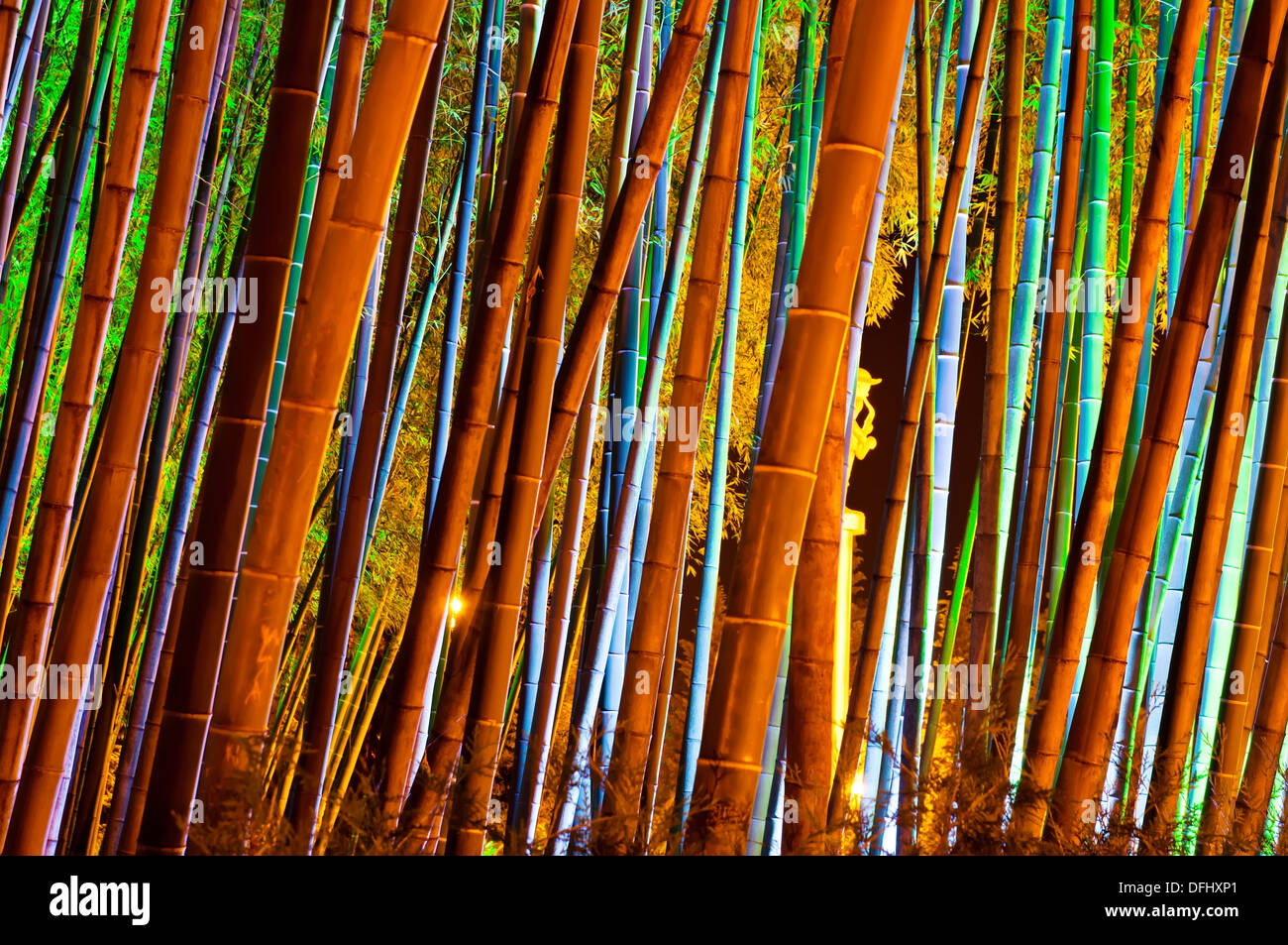 Bambus Wald Stockfoto