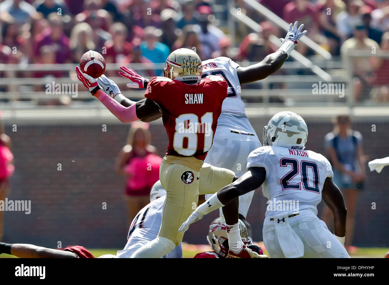 5. Oktober 2013: Florida State Seminolen Wide Receiver Kenny Shaw (81) steigt für ein Pass, der zwischen der Maryland Terrapins und der Florida State Seminolen Doak S. Campbell Stadium unvollständig im Spiel fiel. Stockfoto